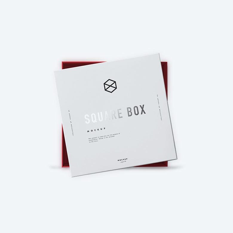 Compact Tracked Loader